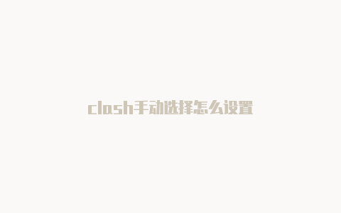 clash手动选择怎么设置