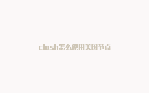 clash怎么使用美国节点