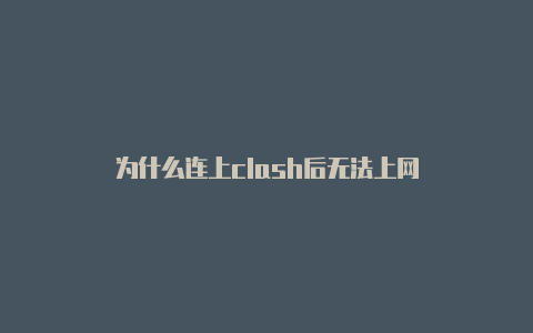 为什么连上clash后无法上网