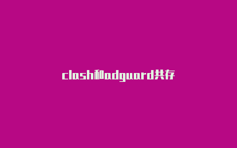 clash和adguard共存