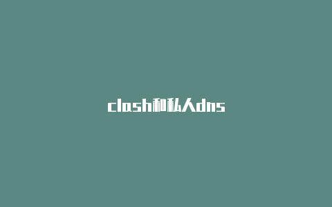 clash和私人dns