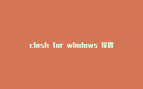 clash for windows 设置